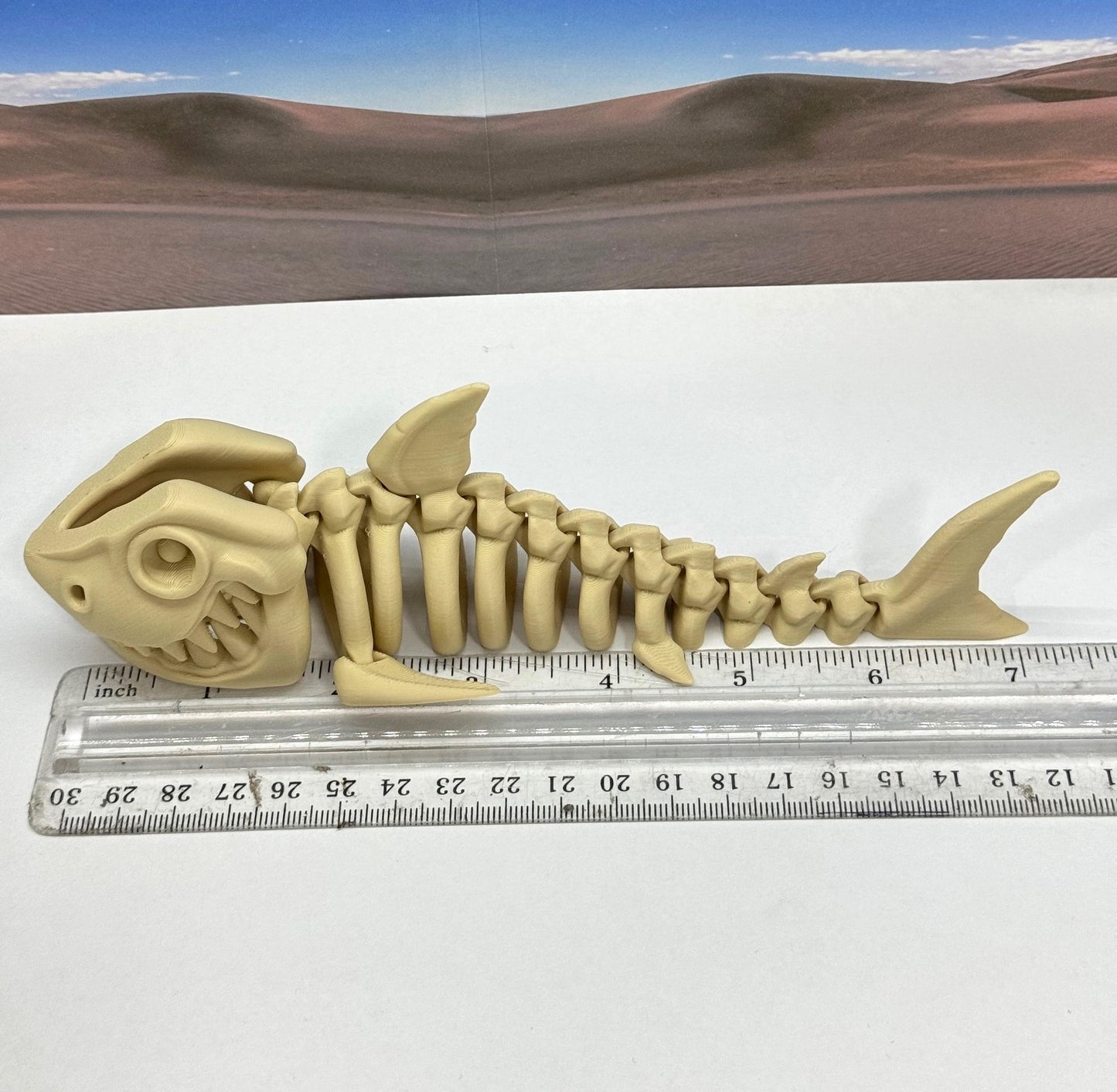 3D Printed Skeleton Shark, 7" Articulated Shark Toy, Skeleton Shark Toy, Fidget ADHD Autism Toy